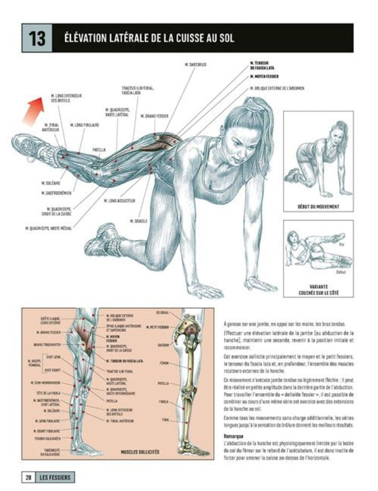Musculation Féminine : Déconstruire les Idées Fausses et Comprendre ses Réels Effets