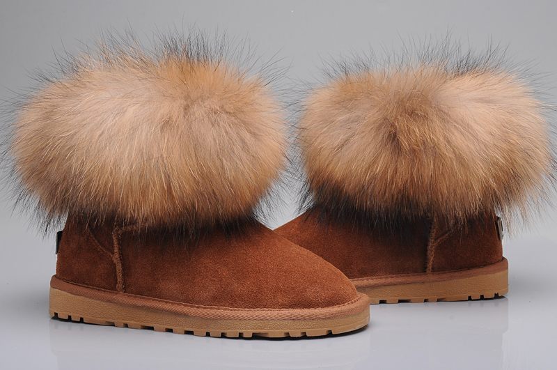 Chaussure UGG high Femme