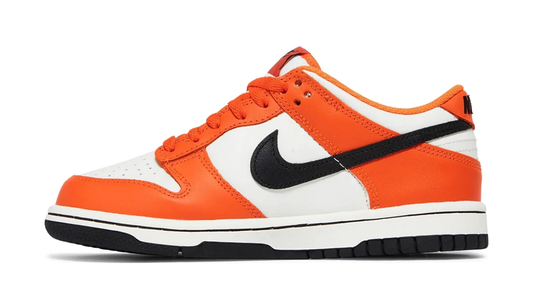 Baskets Nike Sb Dunk