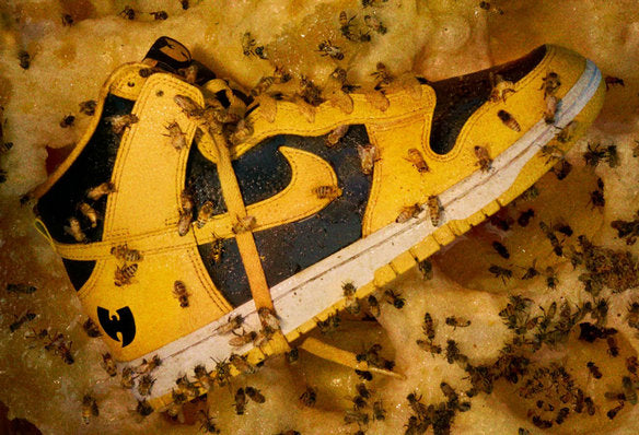 Baskets Nike Sb Dunk High Wu-thang