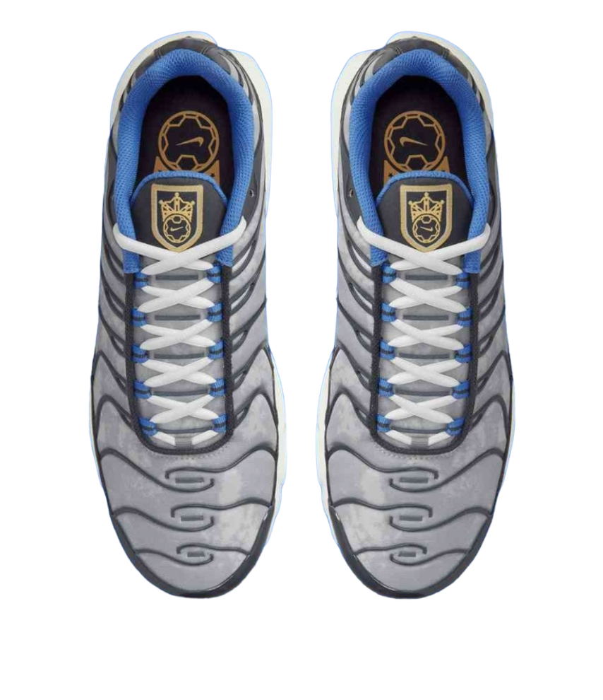 baskets Nike Air Max Plus SE Social FC