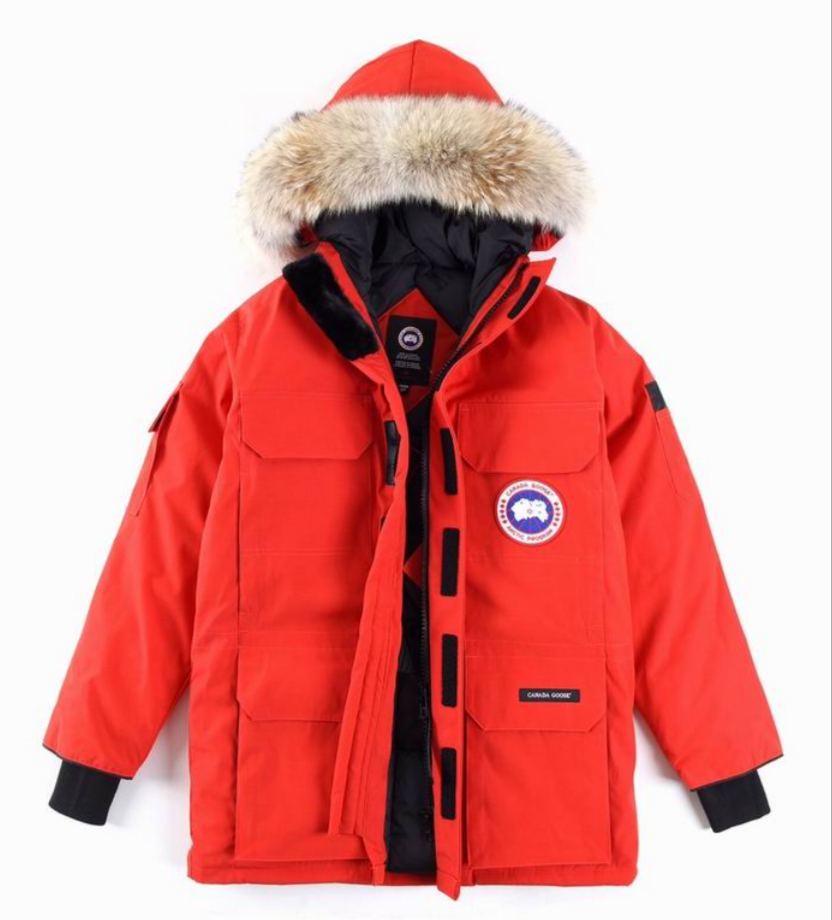 Résultat de l'évolution emblématique de la marque Canada G00se Femme, la Doudoune Canada G00se Femme est un témoignage de l'engagement de Canada G00se à combiner style,