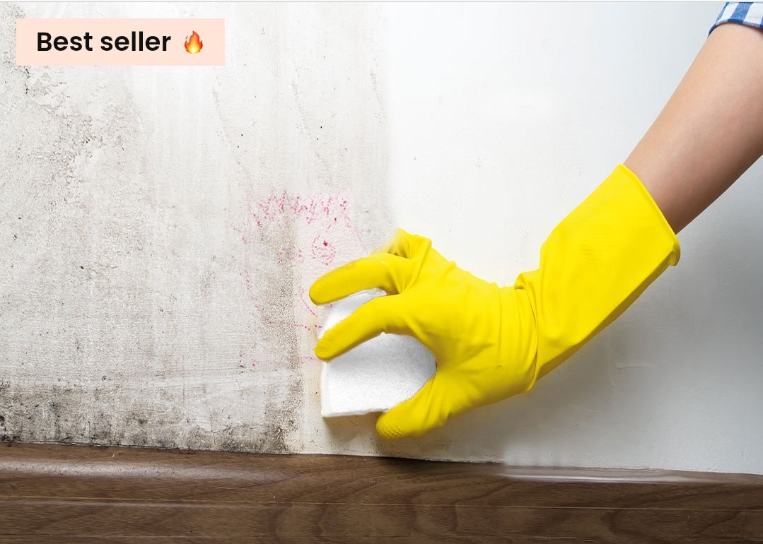 Magic Sponge BHAC0001
Tout d'abord, garder son intérieur propre et frais devient un jeu d'enfant grâce aux produits ménagers et lessives Brilhome. 🧼