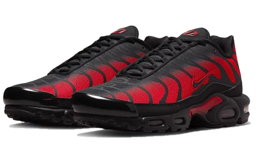 Nike tn air max plus 2021