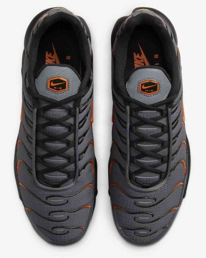 Nike tn air max plus 2021