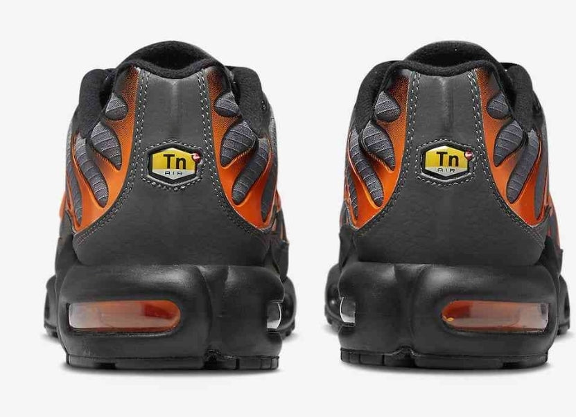 Nike tn air max plus 2021