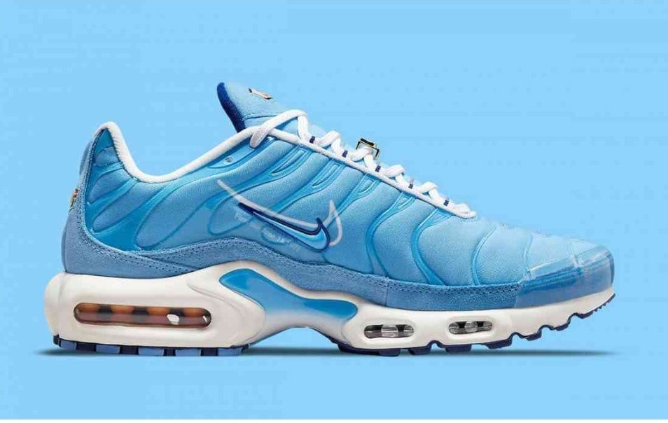 Nike tn air max plus 2021