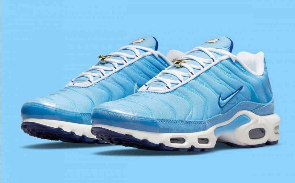 Nike tn air max plus 2021