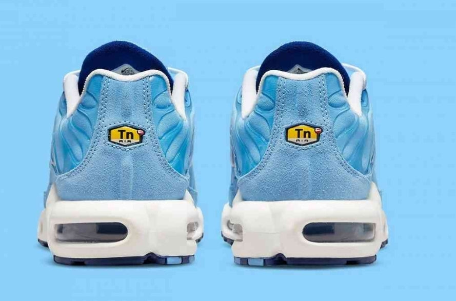 Nike tn air max plus 2021