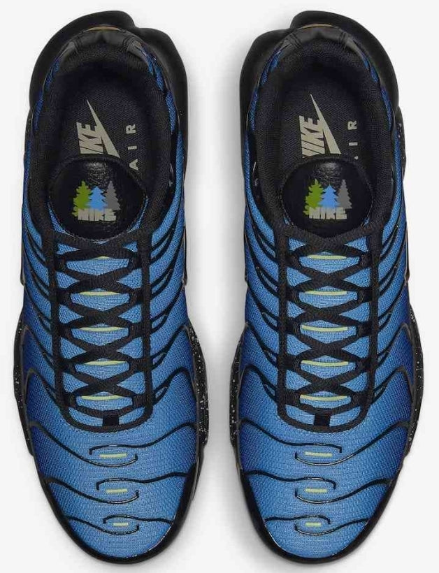 Nike tn air max plus 2021