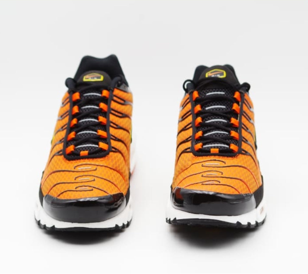 Nike tn air max plus 2021