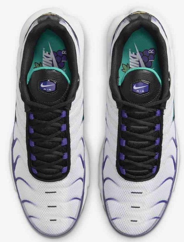 Nike tn air max plus 2021