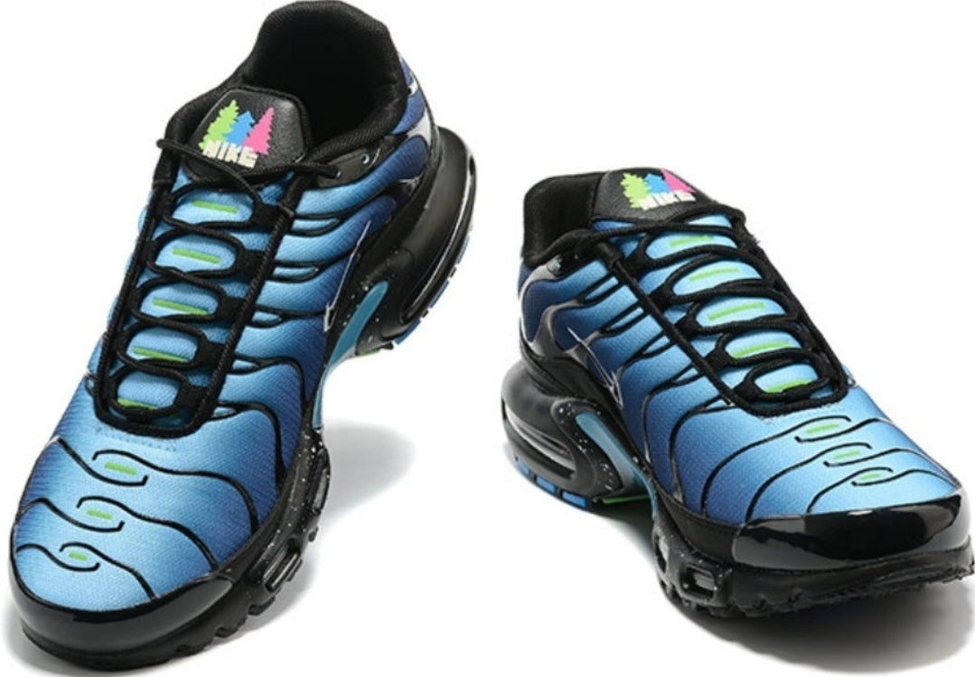 Nike tn air max plus 2021