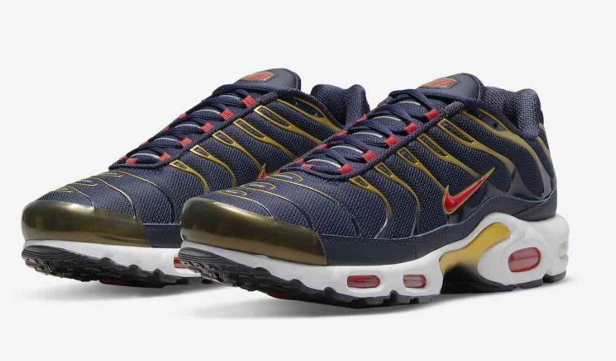 Nike tn air max plus 2021
