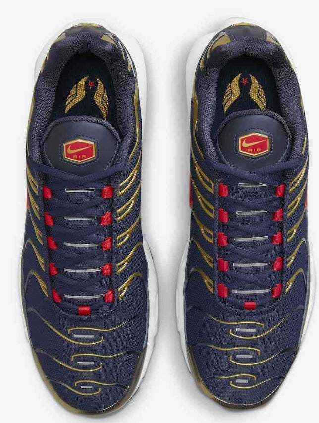 Nike tn air max plus 2021