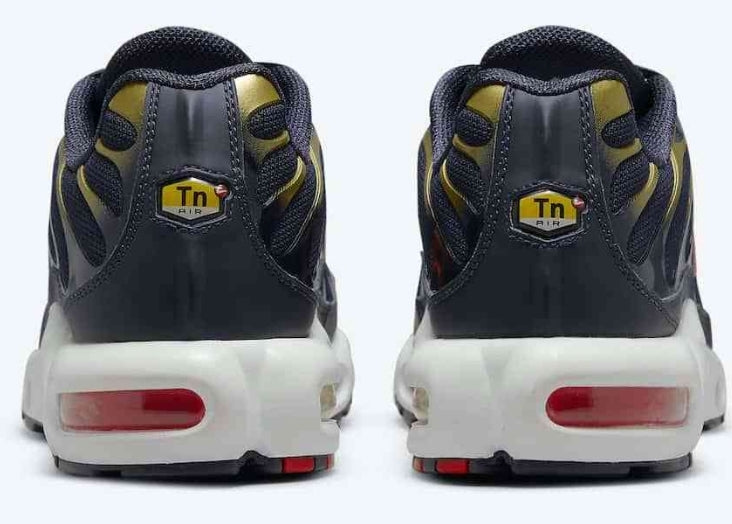 Nike tn air max plus 2021