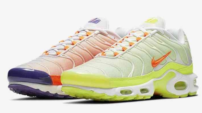 baskets Nike Air Max Plus tn  Color Flip