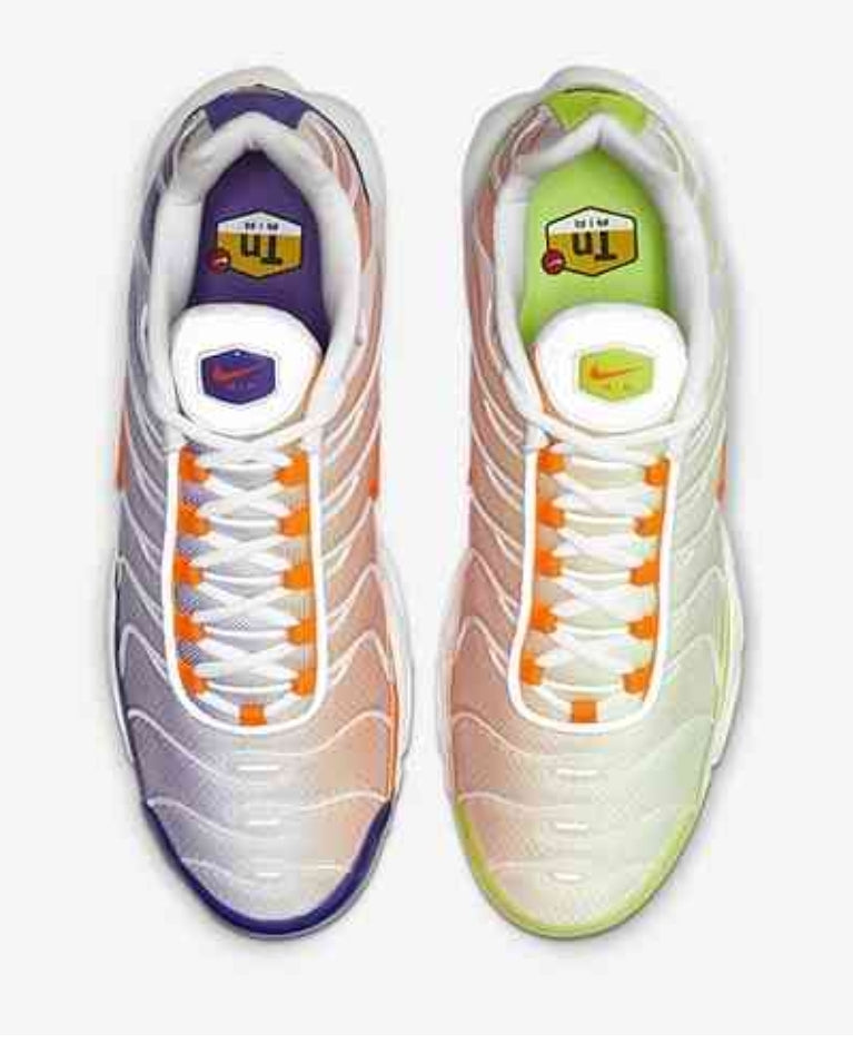 baskets Nike Air Max Plus tn  Color Flip