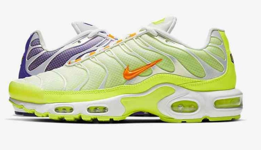 baskets Nike Air Max Plus tn  Color Flip