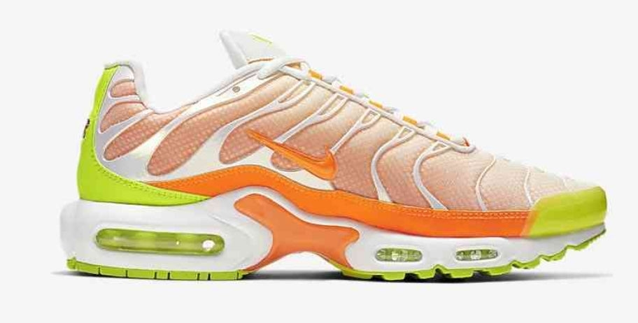 baskets Nike Air Max Plus tn  Color Flip