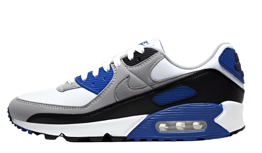 Baskets Nike Air Max 90 Recraft Royal
 Femme