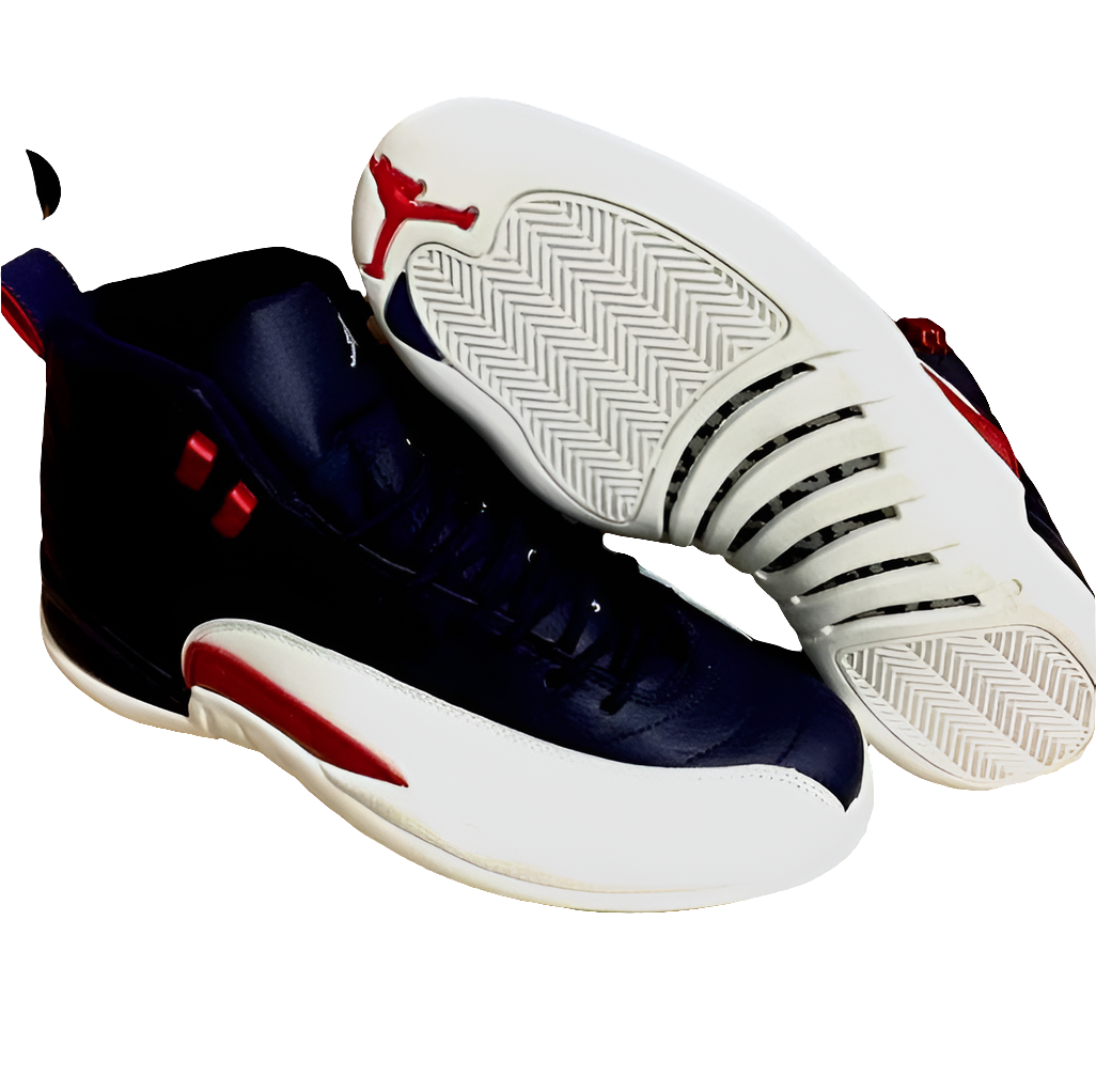 Air Jordan 12 sneakers