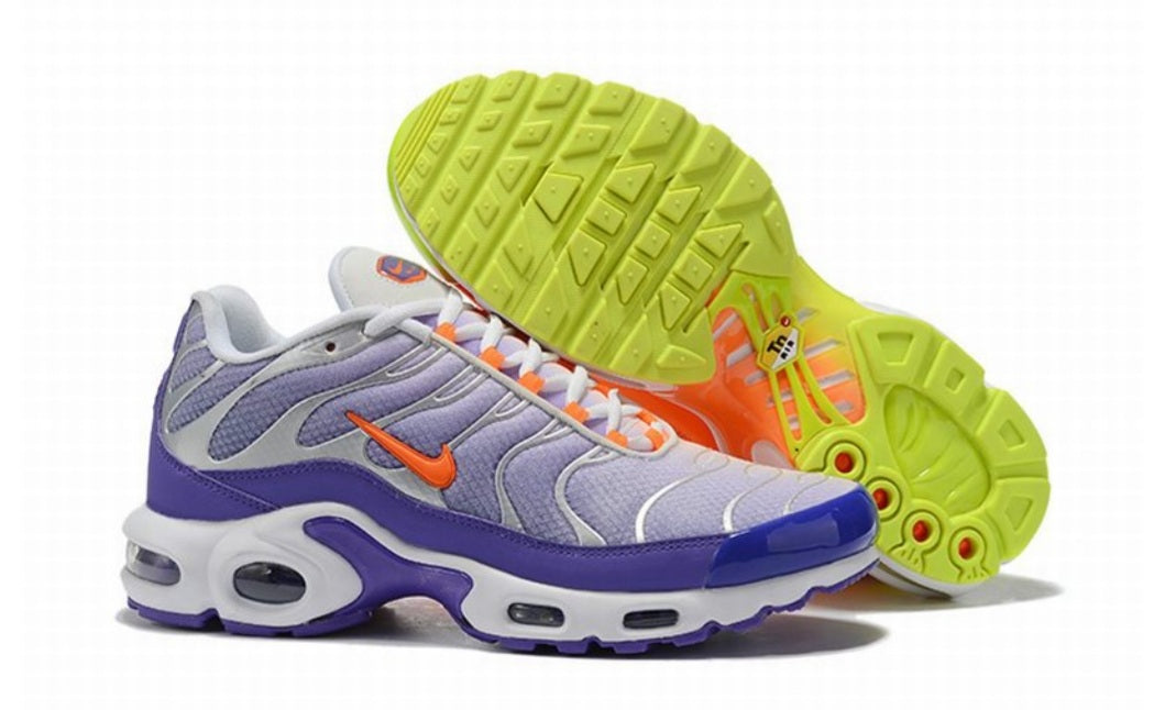 baskets Nike Air Max Plus tn  Color Flip