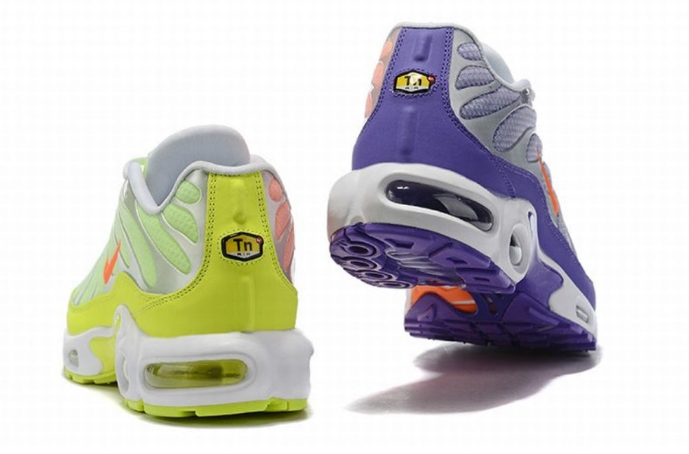 baskets Nike Air Max Plus tn  Color Flip