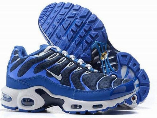 baskets Nike Air Max Plus tn Arctic Chill