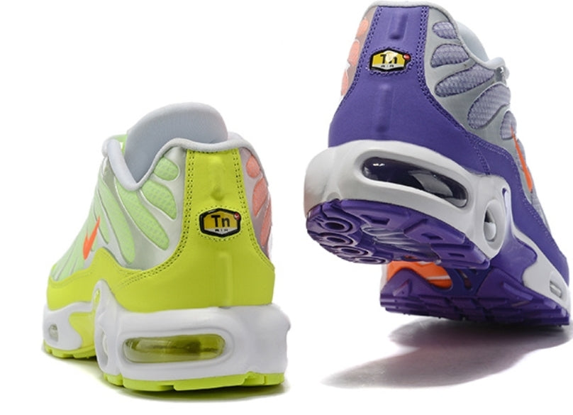 baskets Nike Air Max Plus tn  Color Flip