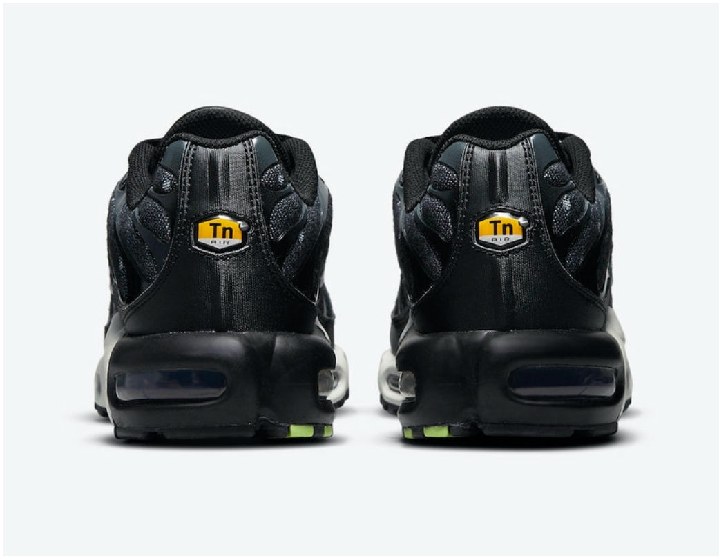 Nike tn air max plus 2021