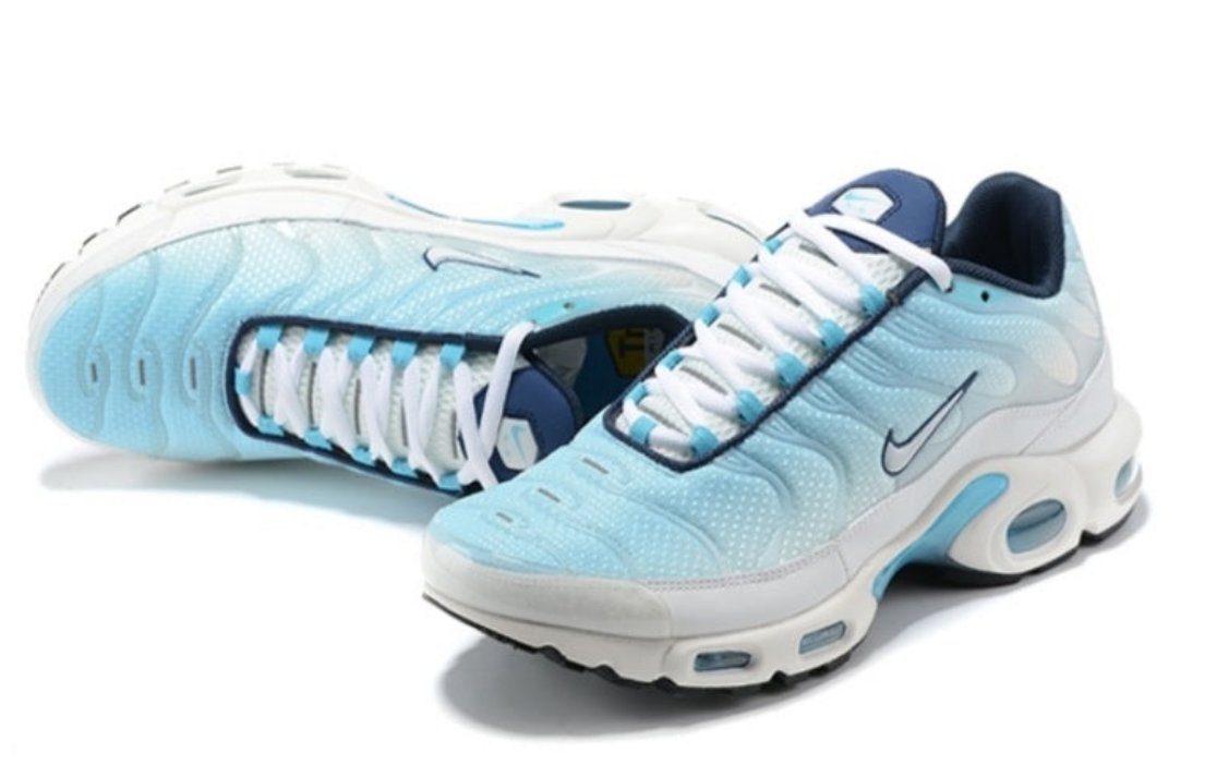 baskets Nike Tn Air Max Plus Psychic Blue White