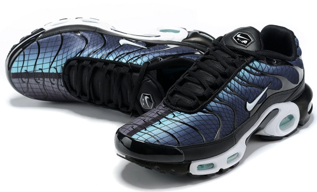 Nike tn air max plus 2021