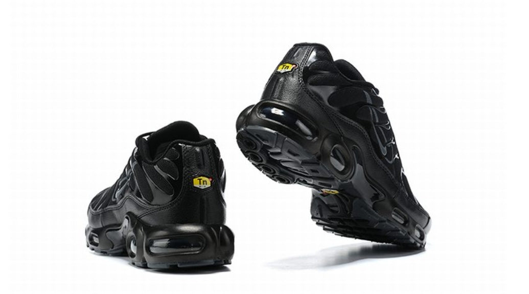 Nike tn air max plus 2021