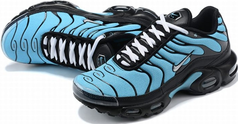 Nike tn air max plus 2021