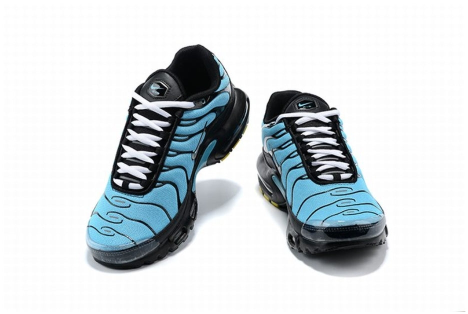 Nike tn air max plus 2021