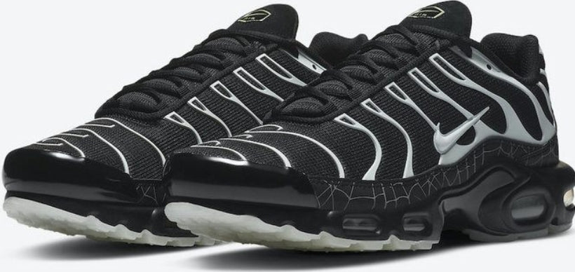 Nike tn air max plus 2021