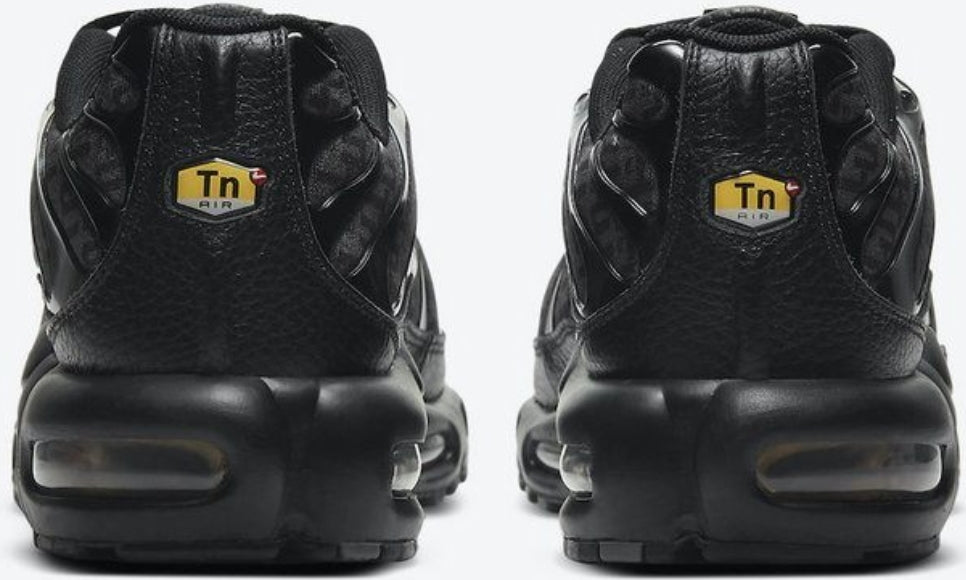 Nike tn air max plus 2021