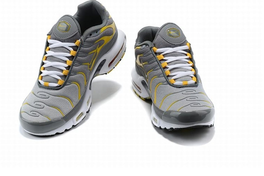 Nike tn air max plus 2021