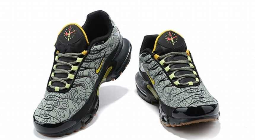 Nike tn air max plus 2021