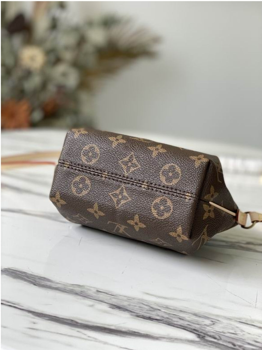 Women's Louis Vuitton Bag
