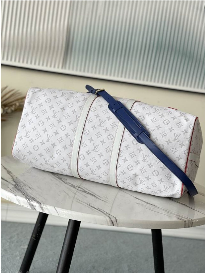 Women's Louis Vuitton Bag