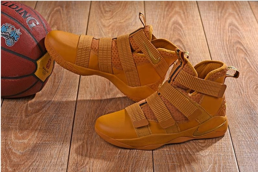 Chassures basket Lebron James