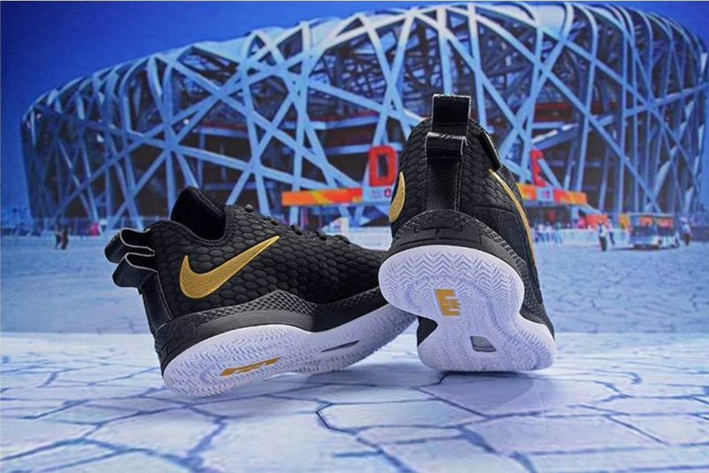 Chassures basket Lebron James