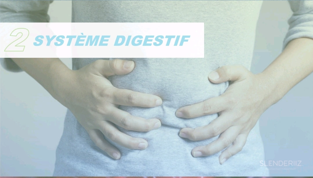 La gamme Slenderiiz Ariix est spécialement conçue pour vous aider à gérer votre poids de manière naturelle, efficace et durable, tout en soutenant votre bien-être global.