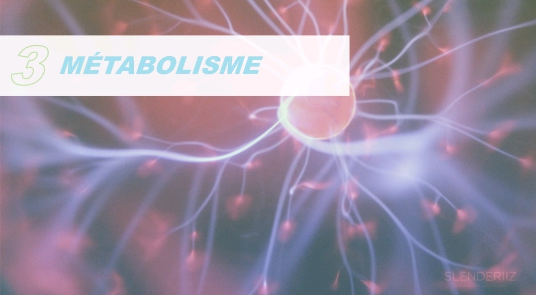 La gamme Slenderiiz Ariix est spécialement conçue pour vous aider à gérer votre poids de manière naturelle, efficace et durable, tout en soutenant votre bien-être global.