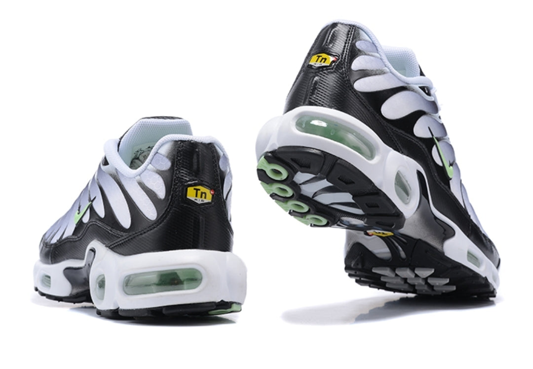 Nike tn air max plus 2021