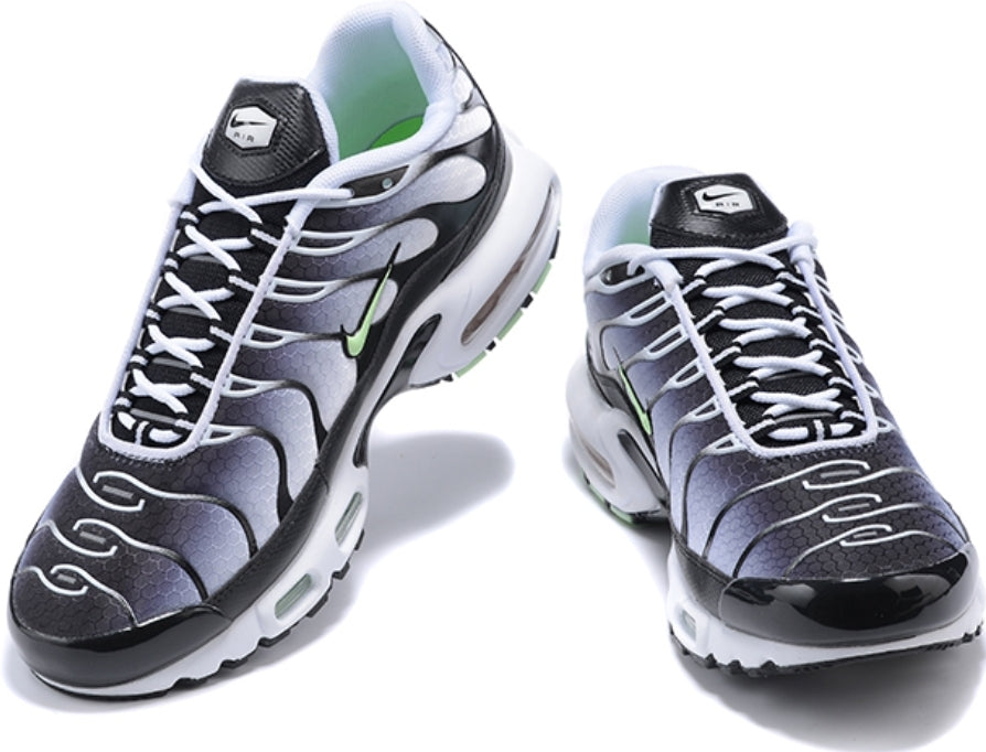 Nike tn air max plus 2021