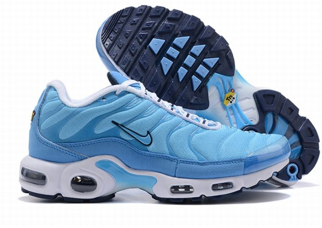 Nike tn air max plus 2021