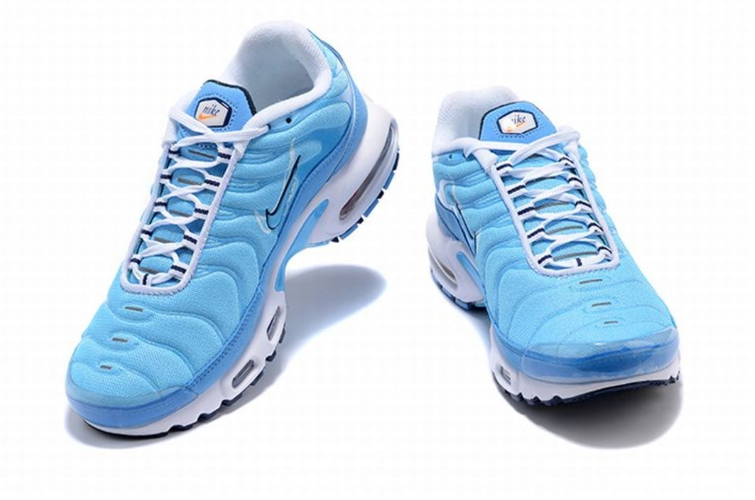 Nike tn air max plus 2021